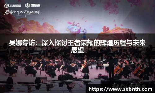 吴娜专访：深入探讨王者荣耀的辉煌历程与未来展望